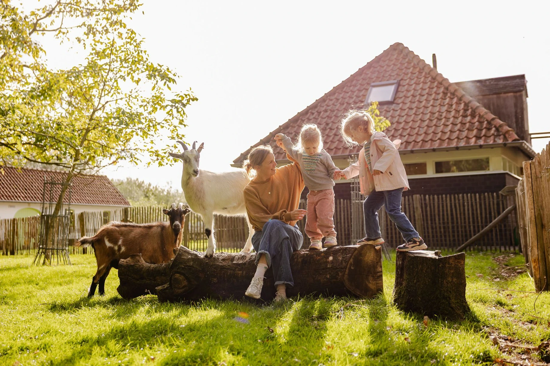 oma's ijs boerderij
