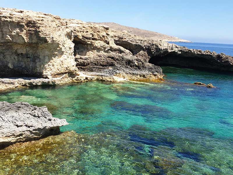 gozo zee
